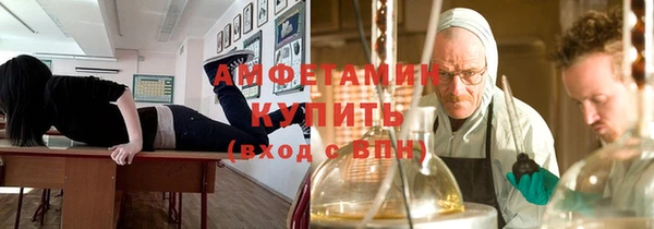 прущие крисы Пересвет