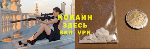 прущие крисы Пересвет