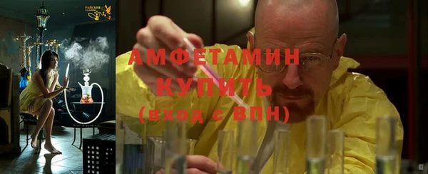 молекула духа Богданович
