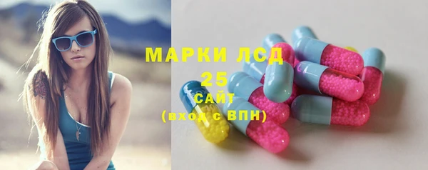 прущие крисы Пересвет
