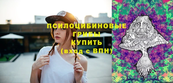 прущие крисы Пересвет