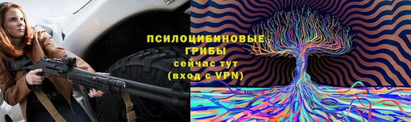 бошки Видное