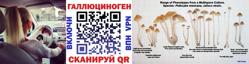 хочу   Котовск  Галлюциногенные грибы Magic Shrooms 