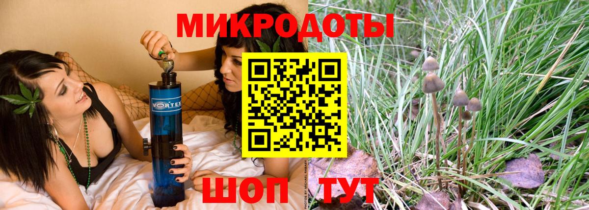 Галлюциногенные грибы Cubensis Котовск