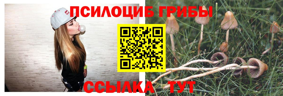 Галлюциногенные грибы GOLDEN TEACHER  Вход с VPN  Галлюциногенные грибы мухоморы  Котовск 